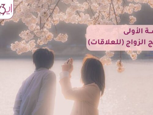 الحلقة الأولى فقط من باقة الزواج الحلقة الأولى فقط من باقة الزواج