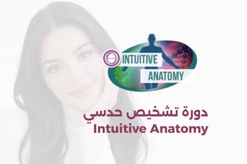 دورة تشخيص حدسي (1) دورة تشخيص حدسي Intuitive Anatomy
